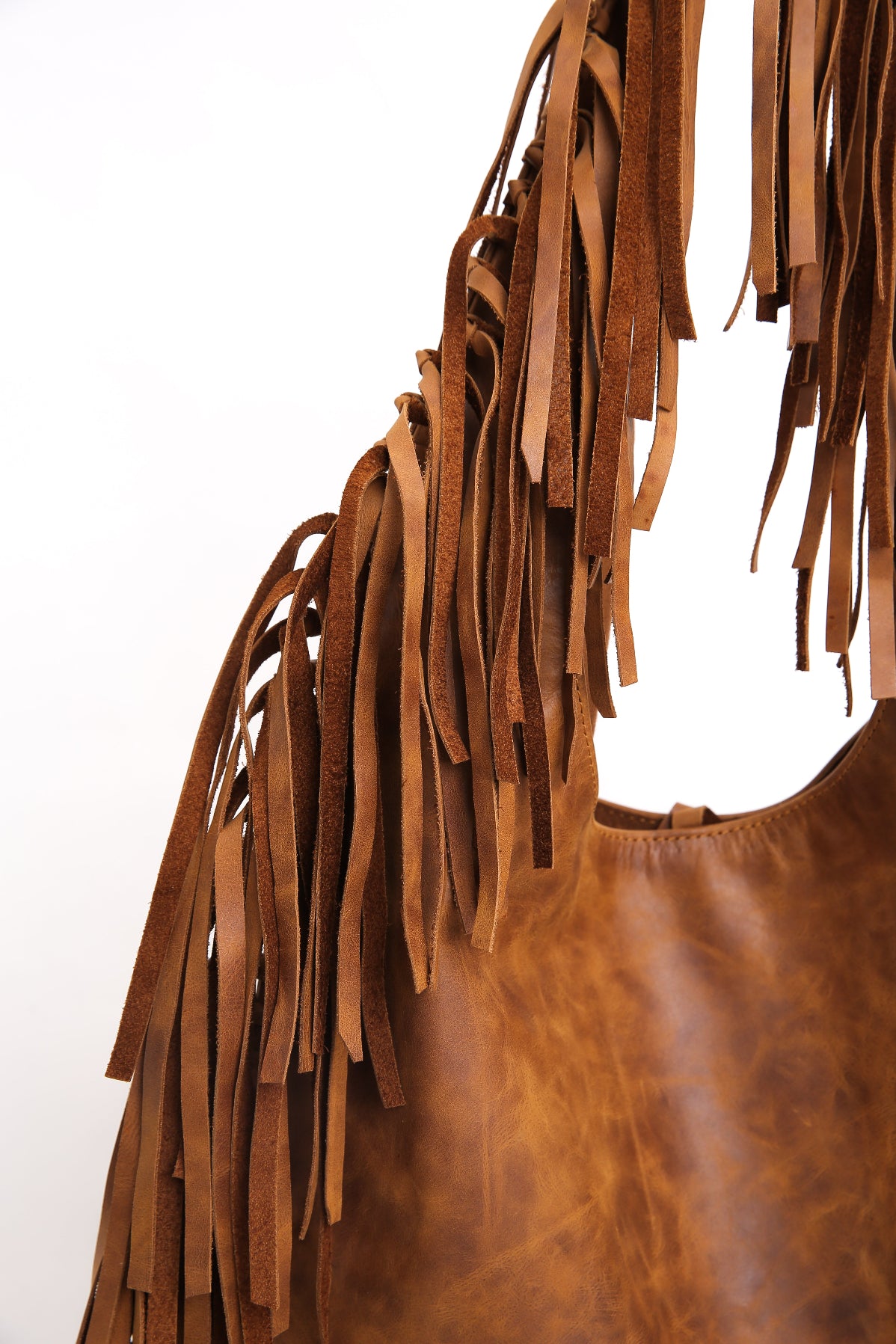 N°316 - Camel