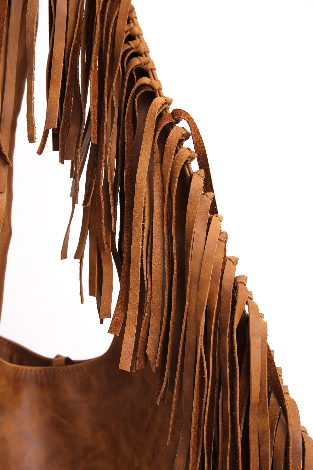 N°316 - Camel